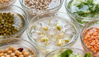 pre sprout seeds in water