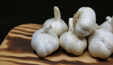record breaking winter garlic cloves