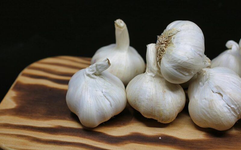record breaking winter garlic cloves