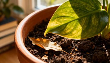 repels pests and fungus