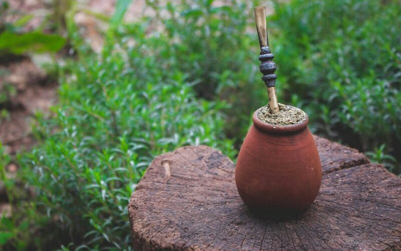 speed up stump rotting safely