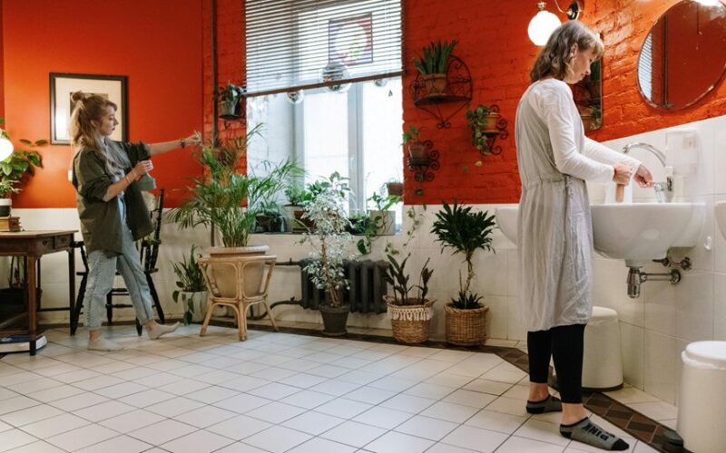 tough low light low water houseplants