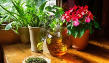 unusual homemade flowering plant fertilizer