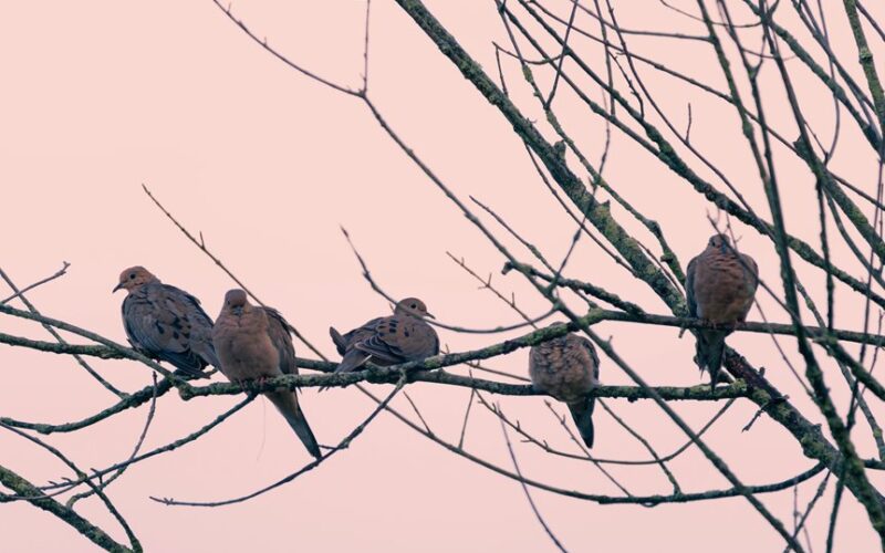 when natural remedies help