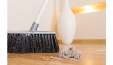 30 minute in laws cleaning hacks