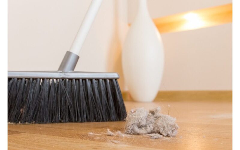 30 minute in laws cleaning hacks