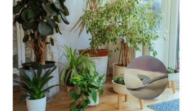 add drainage material under pot