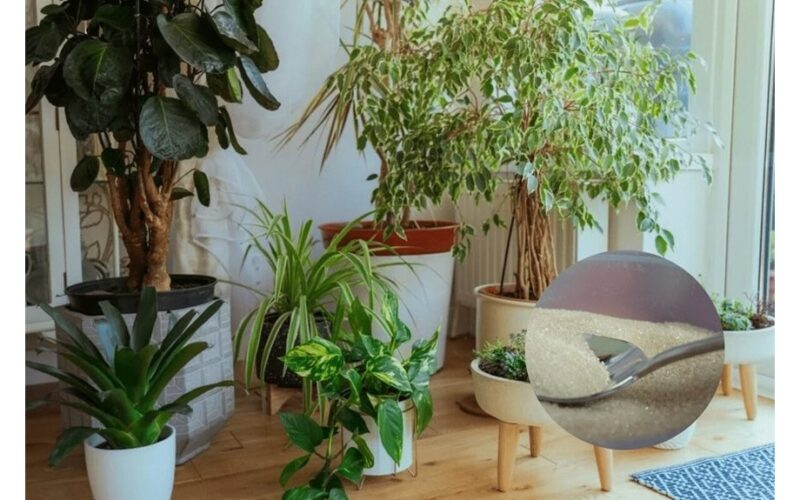 add drainage material under pot