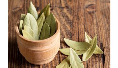 bay leaf kitchen revelations