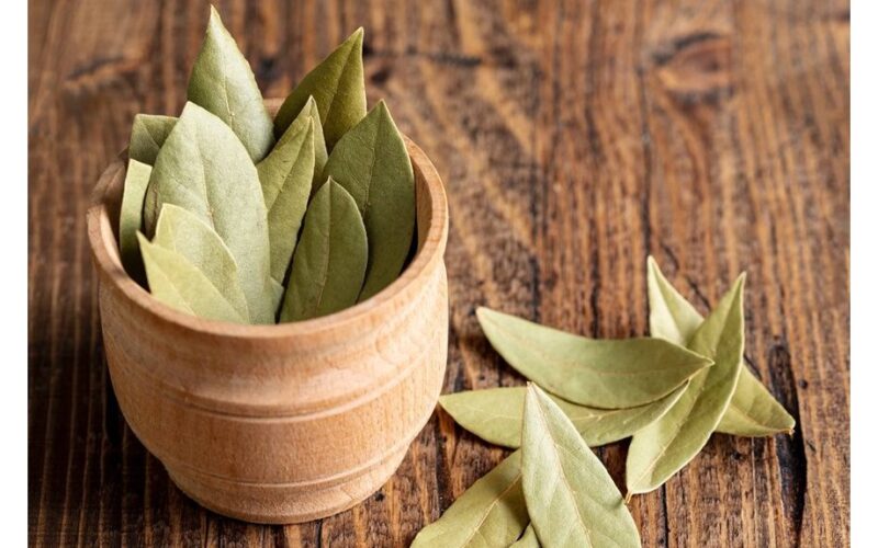 bay leaf kitchen revelations