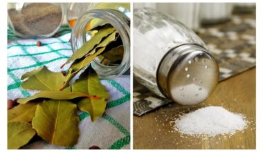 bay leaf wedding luck