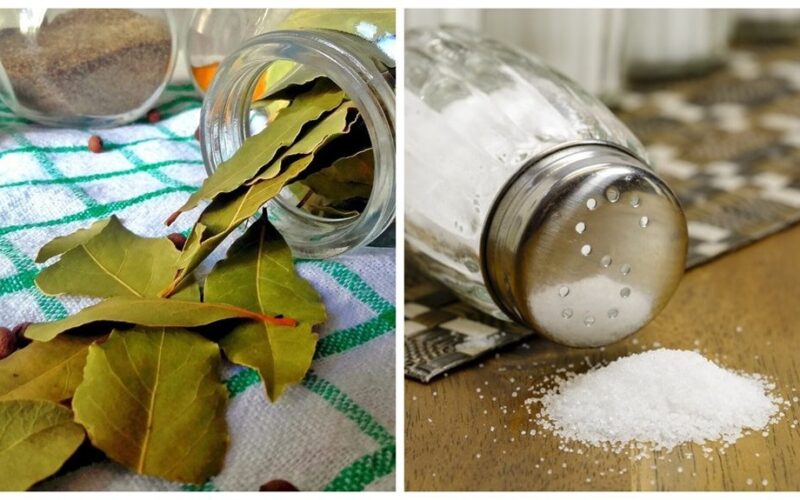 bay leaf wedding luck