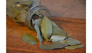 bay leaves clean mirrors