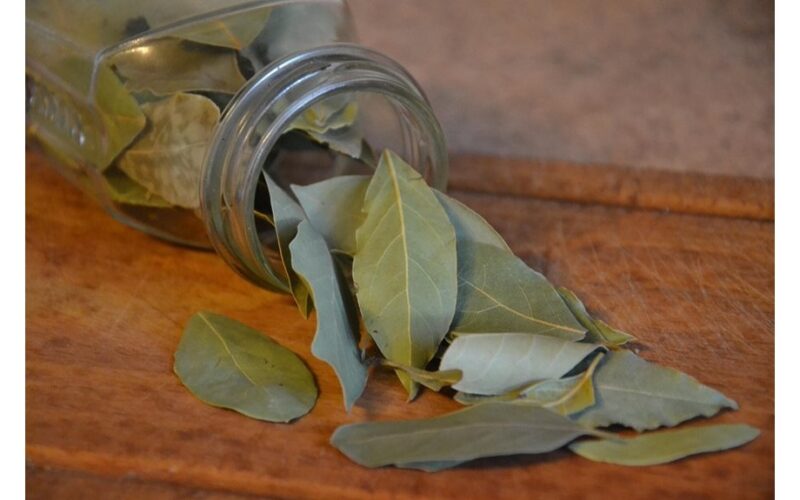 bay leaves clean mirrors