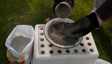 burned plant residues increase yield