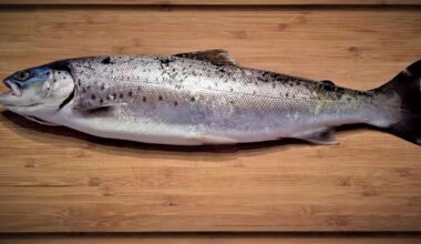 buys metal sponges in tens