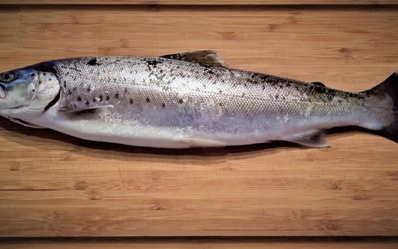 buys metal sponges in tens