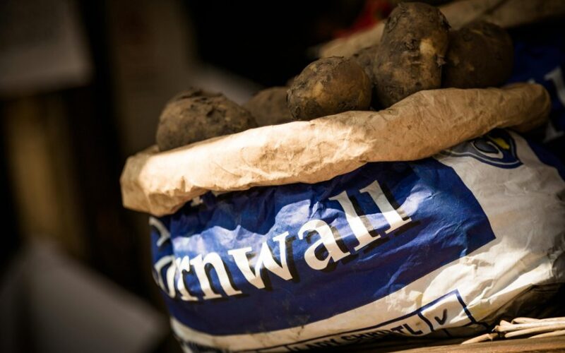 change potato seed tubers