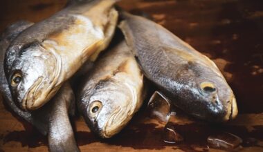 choose fresh whole fish