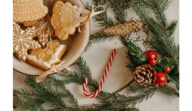 choose lifelike artificial tree