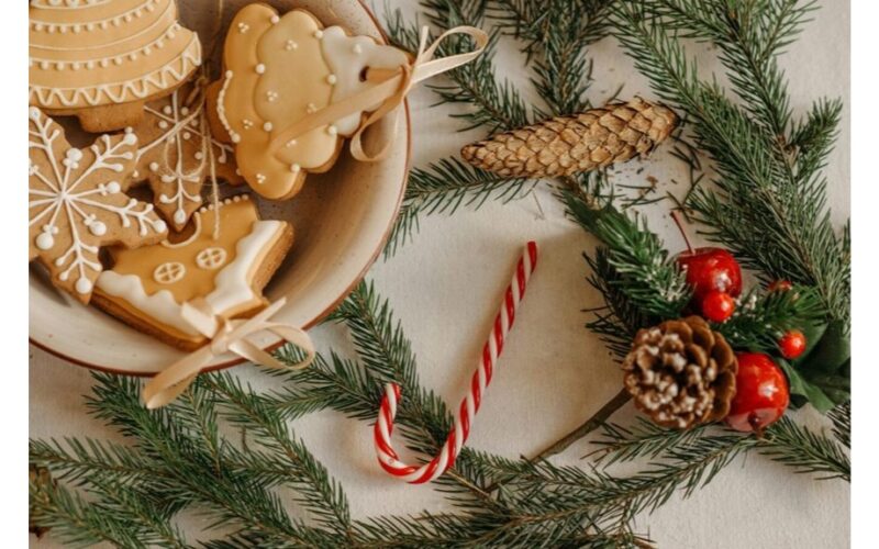 choose lifelike artificial tree