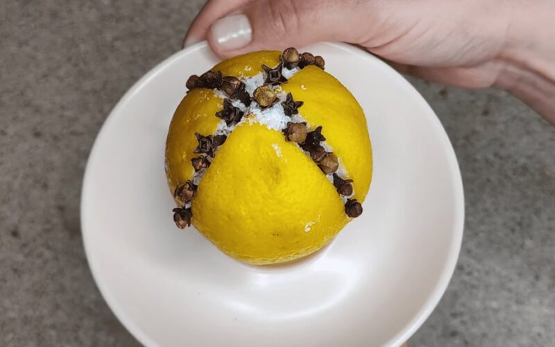 clove studded lemon repels pests