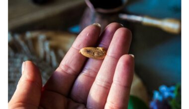 date pit drink recipe