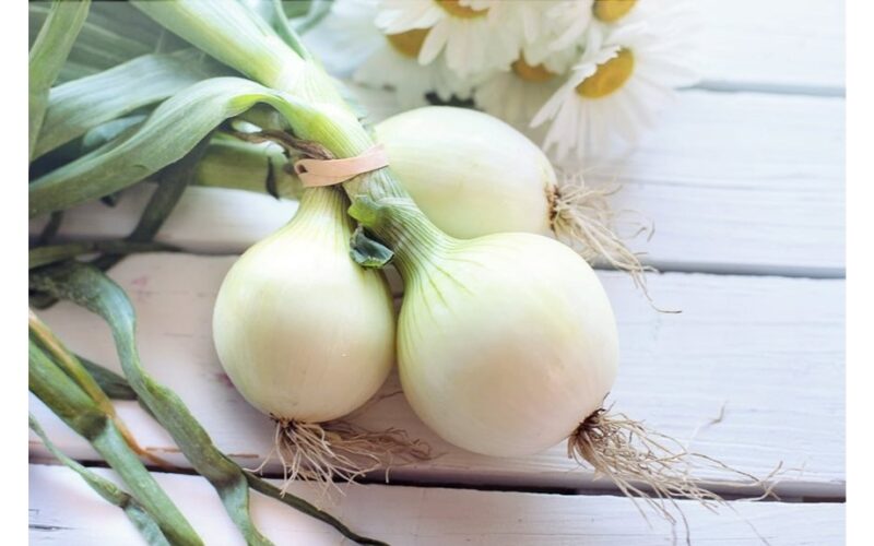 eight month skinless onion preservation