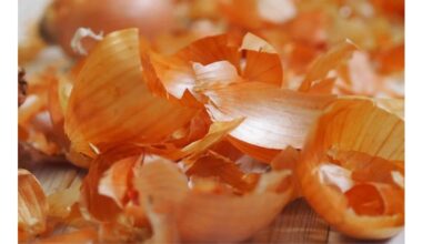 enhances flavor with onion peels