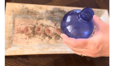 five drops killed fleas instantly