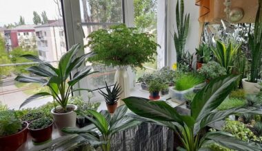 five houseplants remove toxins