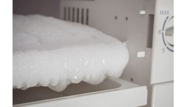 freezer dehydrates food prevents ice