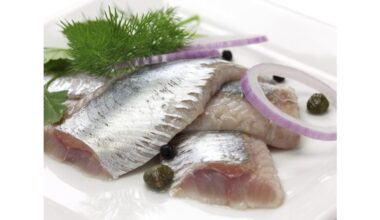 fresh herring selection tips