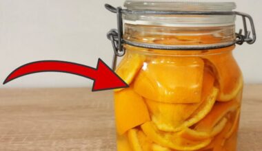 homemade orange peel vinegar