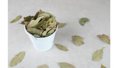 husband frying bay leaves ritual
