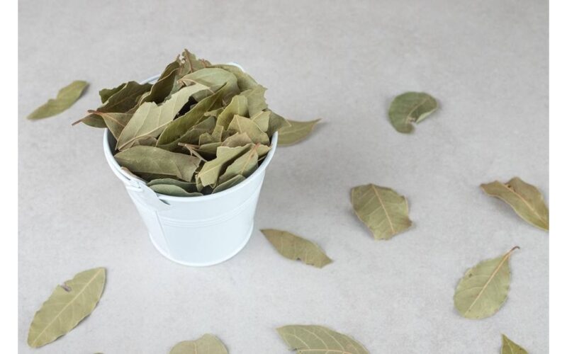 husband frying bay leaves ritual