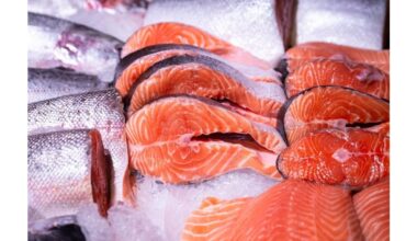 identify real redfish vs fake