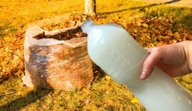 leaf infused brew outperforms potassium