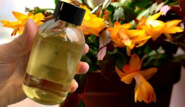 living water one pour