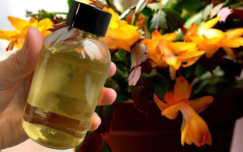 living water one pour