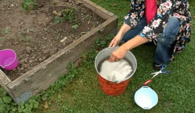 long term fertilizer ruined soil