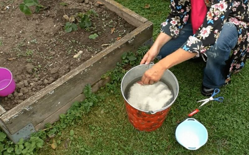 long term fertilizer ruined soil