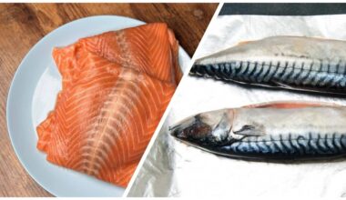 mackerel trumping salmon s showiness