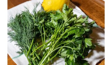 microwaved dried herbs revive