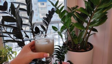 minimal watering explosive growth