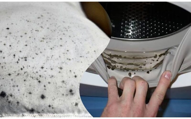 never wash this item