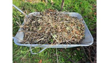 no dig leaf composting gold