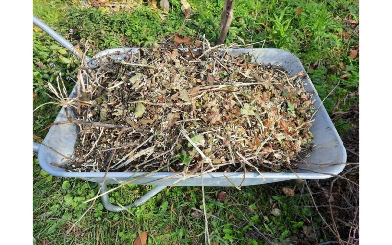 no dig leaf composting gold