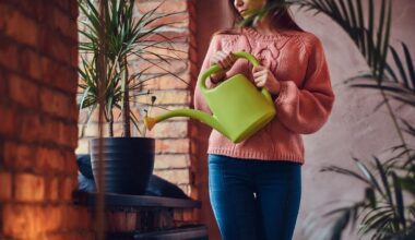 plants thrive on citric acid