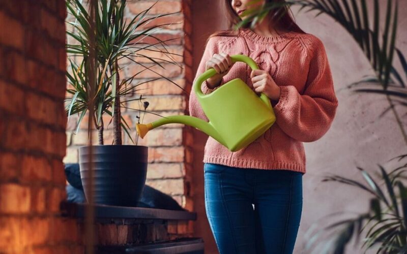 plants thrive on citric acid